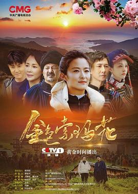 金色索玛花(2020) 第08集