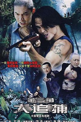 大追捕2008 第04集
