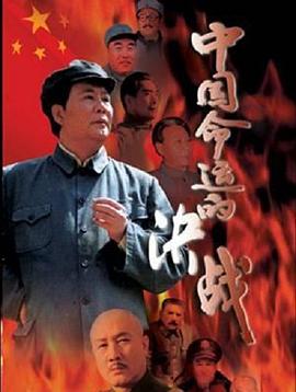 中国命运的决战 第15集