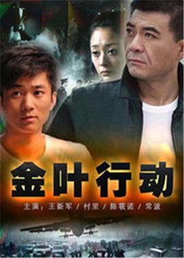 金叶行动 第06集