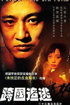跨国追逃 第14集