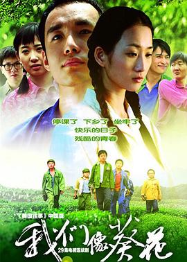 我们像葵花 第09集