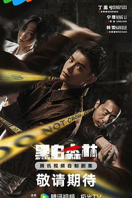黑白森林剧版 第19集
