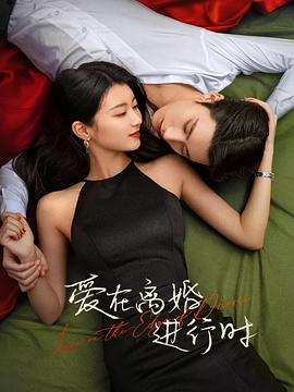 爱在离婚进行时2025 第17集