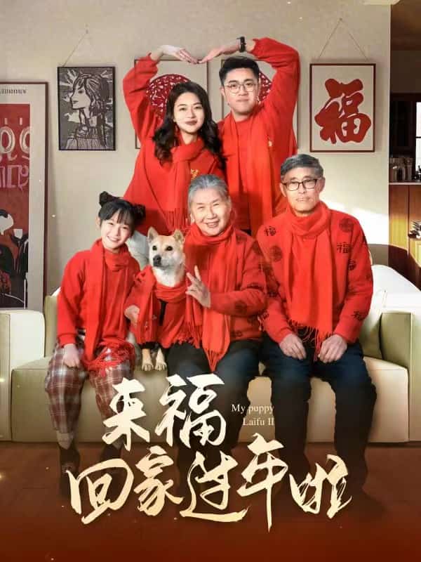 来福回家过年啦 第6集