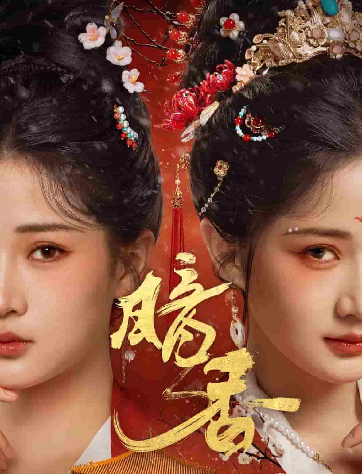 暗香（短剧版） 第5集