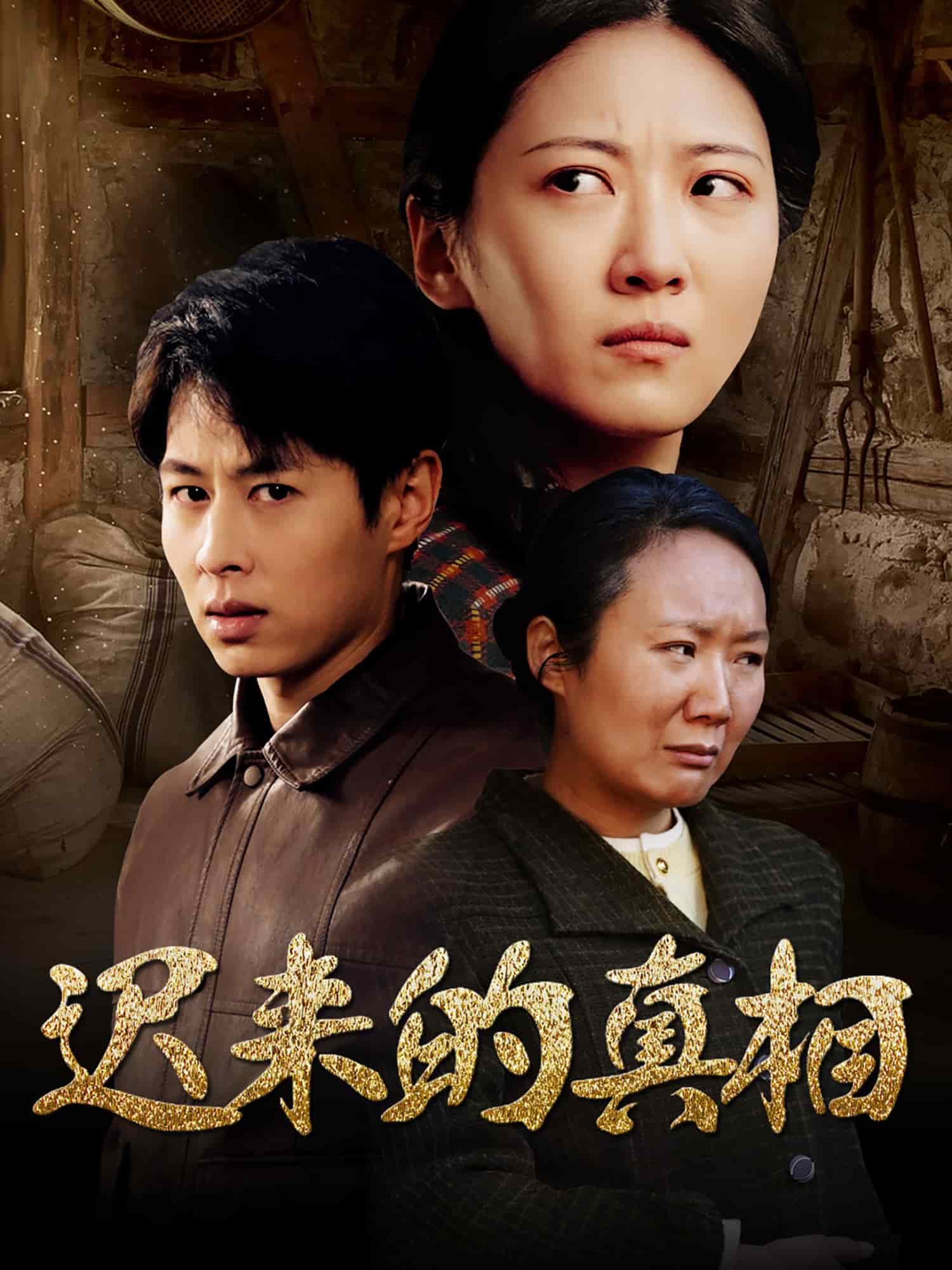 迟来的真相 第15集