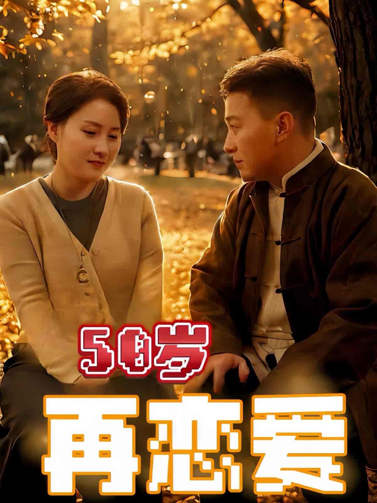 50岁再恋爱 第13集