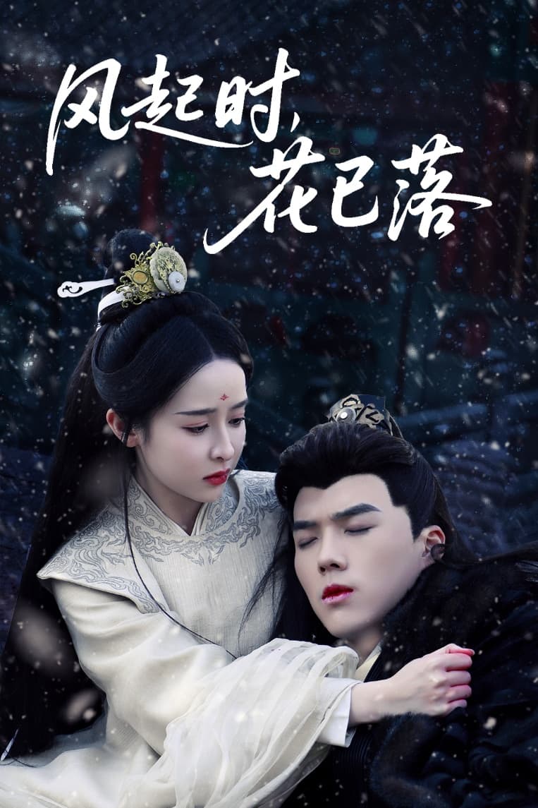 风起时，花已落 第39集