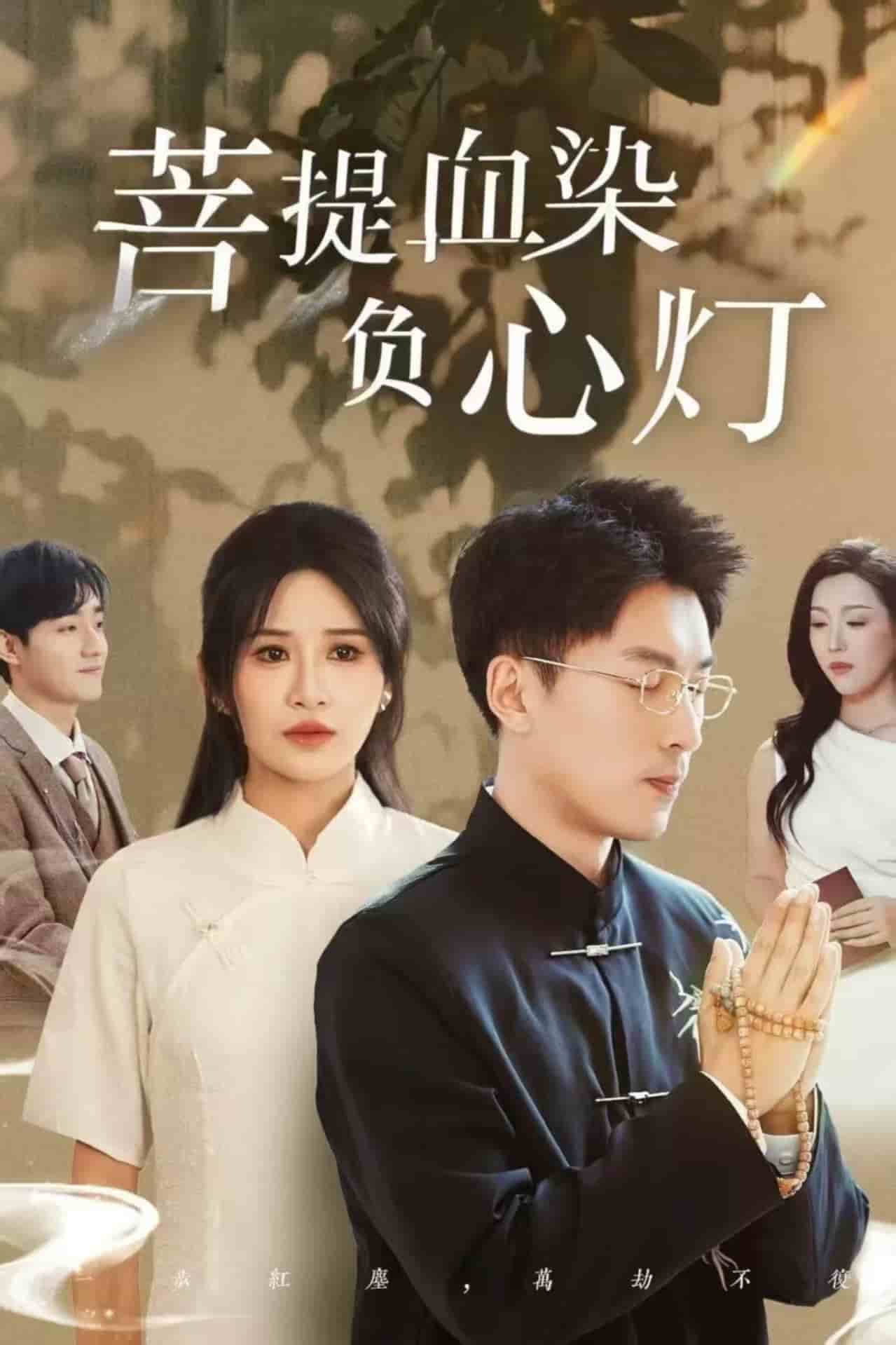 菩堤血染负心灯 第28集