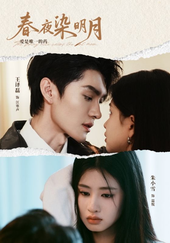 春夜染明月 第19集