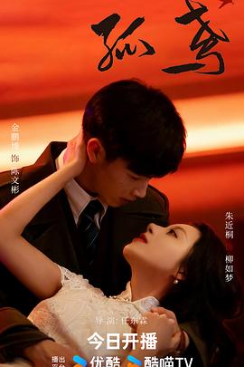 孤鸢 第21集