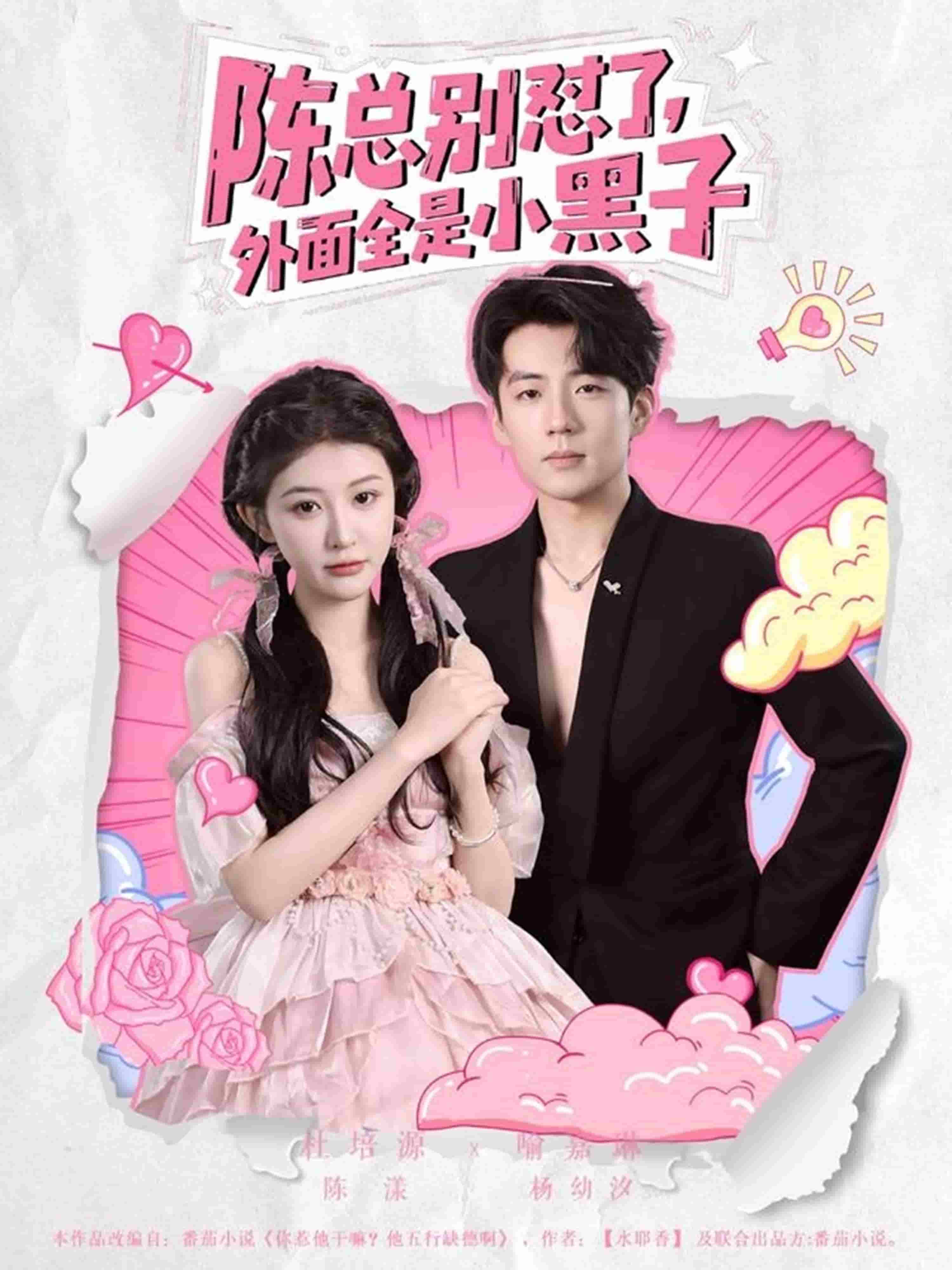 陈总别怼了外面全是小黑子 第03集