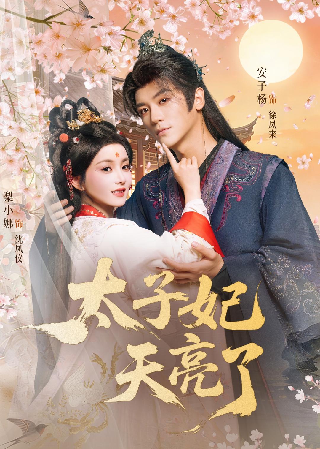 太子妃天亮了 第30集