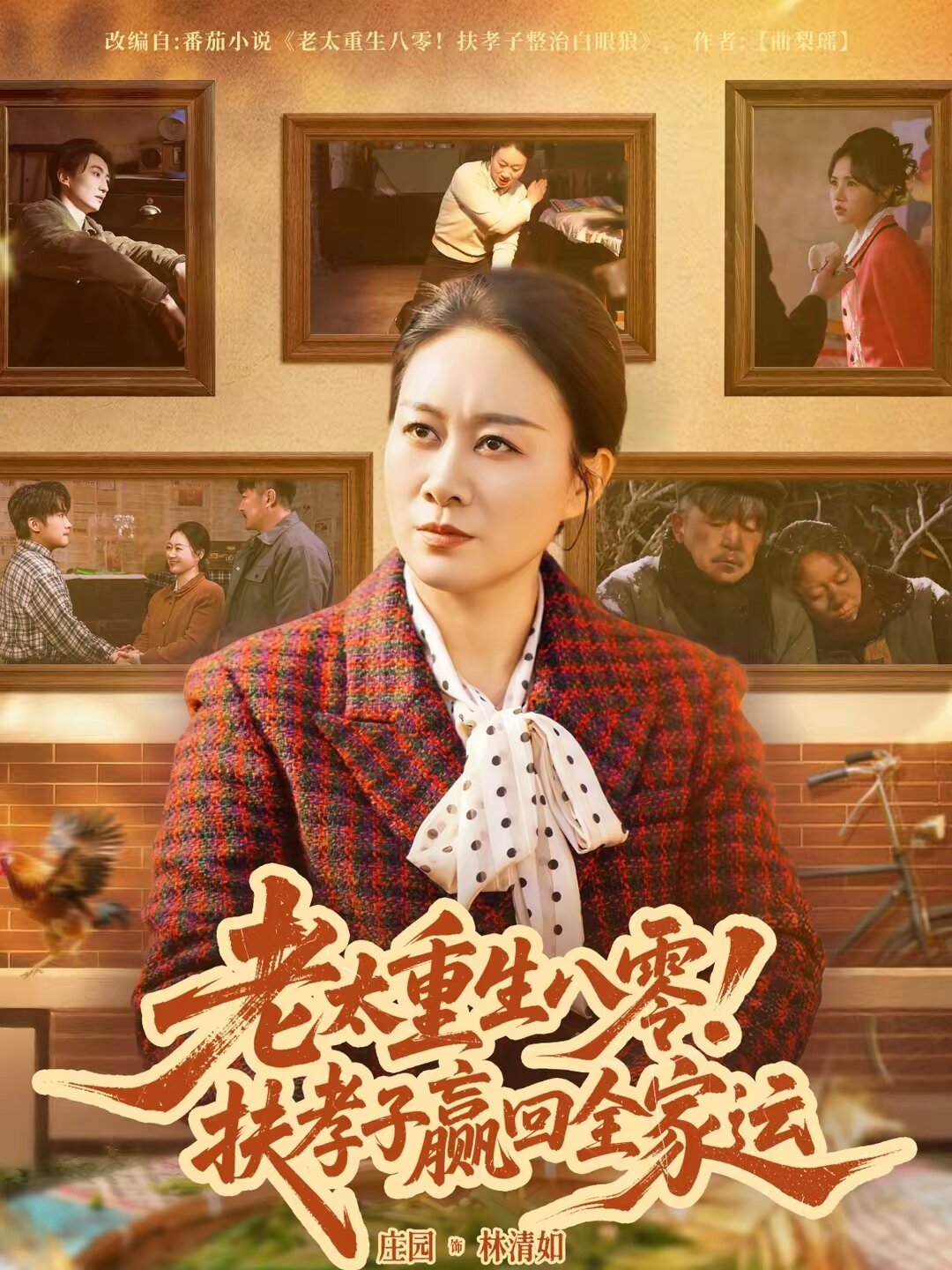 老太重生八零！扶孝子赢回全家运 第41集
