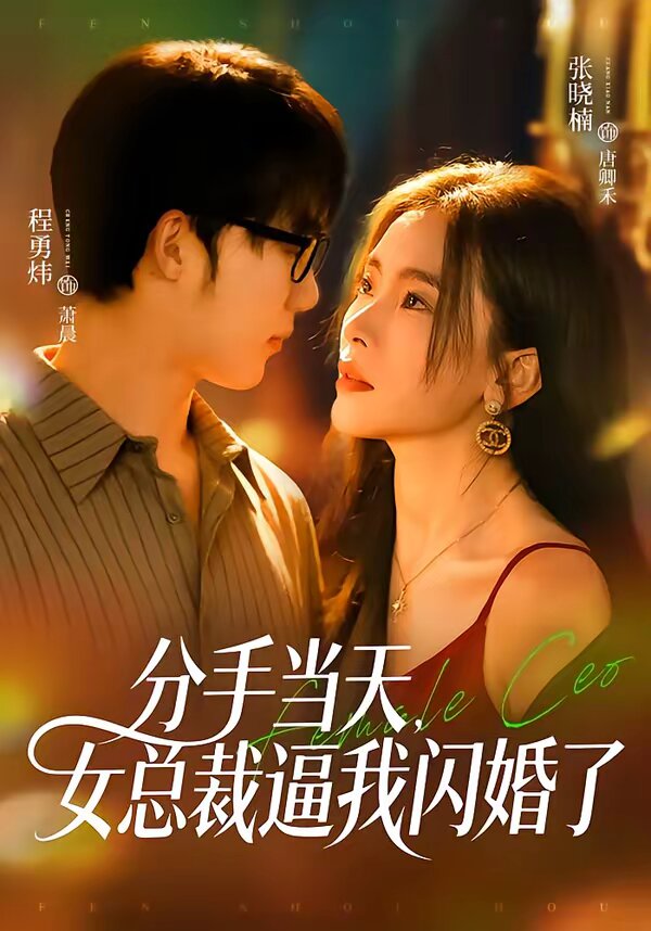 分手当天，女总裁逼我闪婚了 第48集