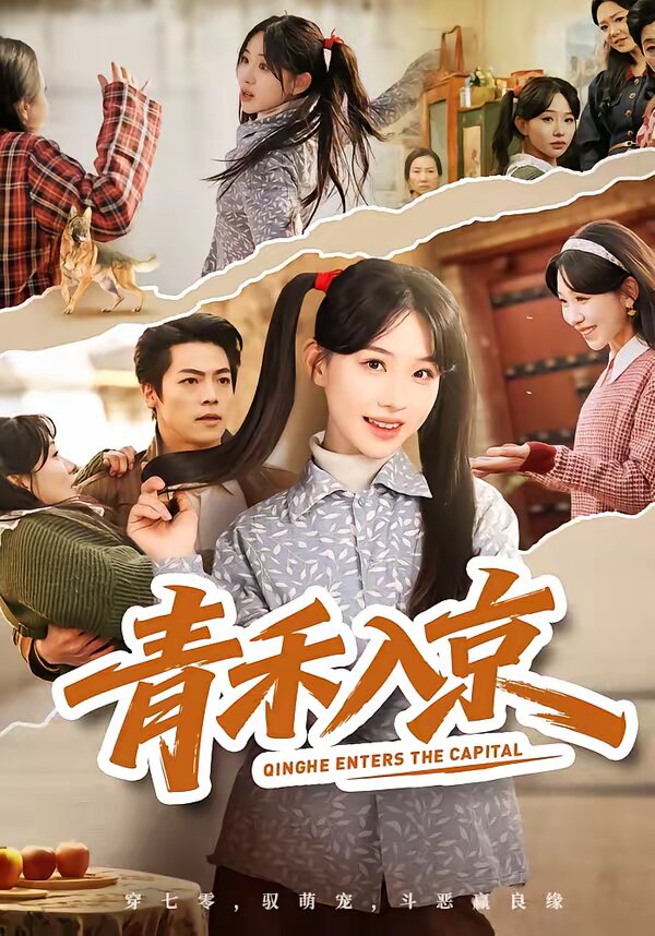 青禾入京 第38集