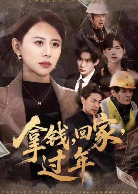 拿钱，回家，过年 第17集