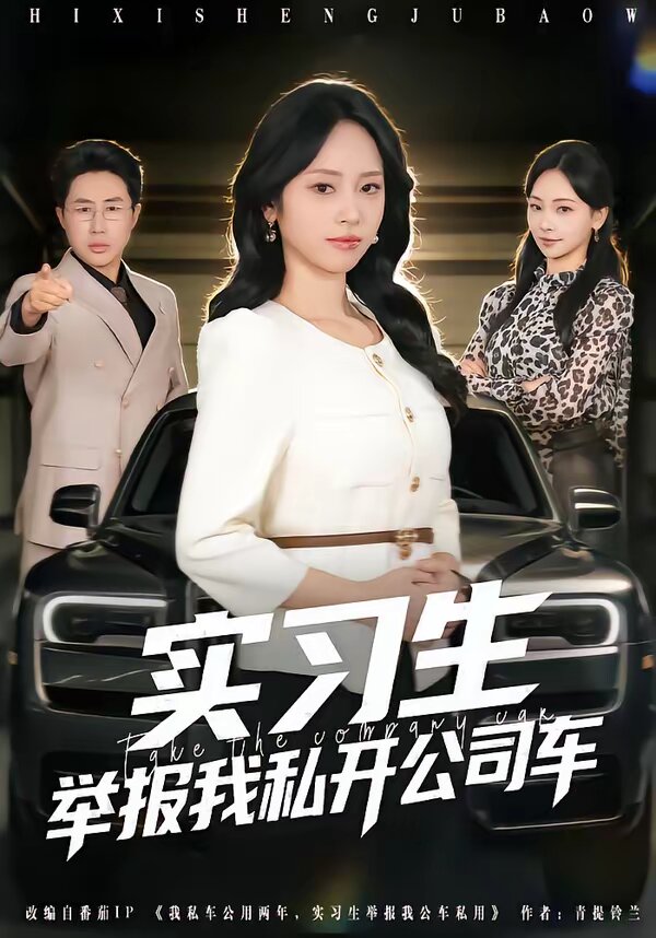 实习生举报我私开公司车 第51集