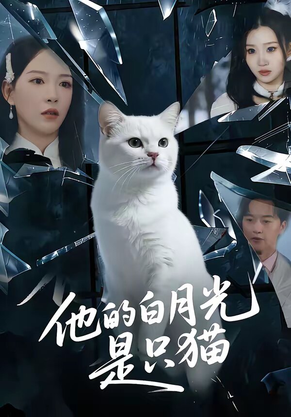 他的白月光是只猫 第60集