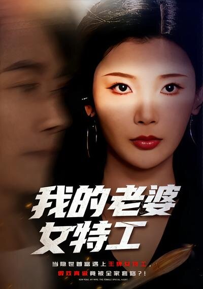 我的老婆女特工(全集)