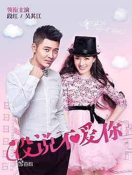 没说不爱你 第14集