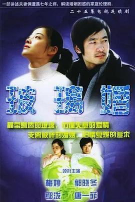 玻璃婚 第21集