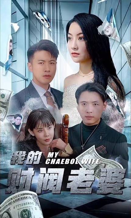 我的财阀老婆 第82集