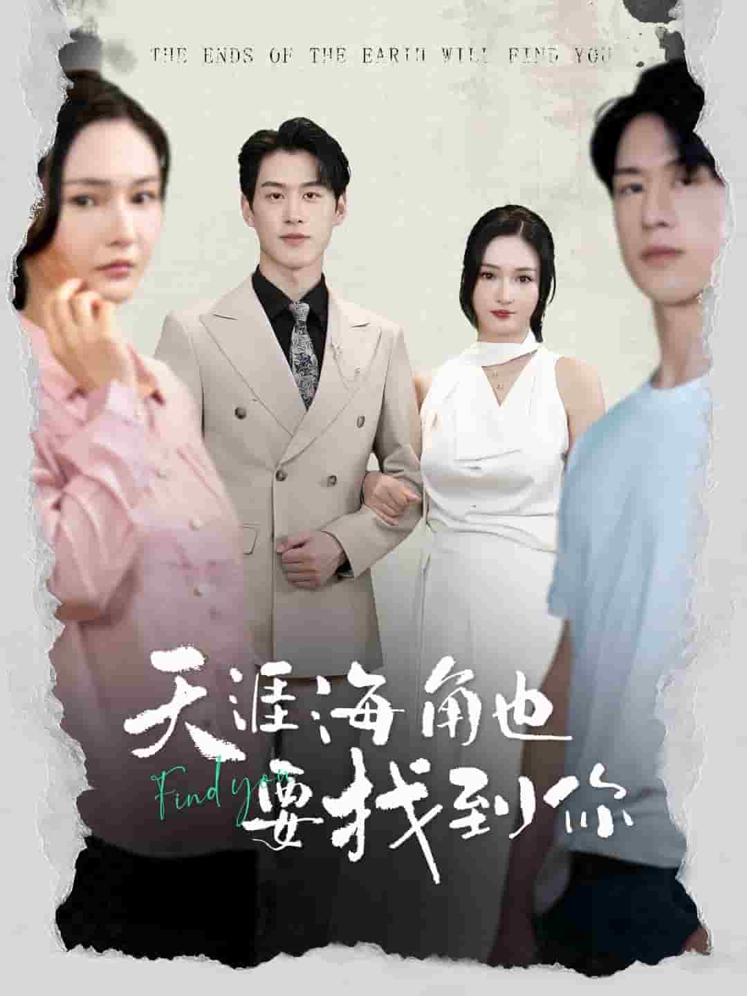 天涯海角也要找到你 第39集