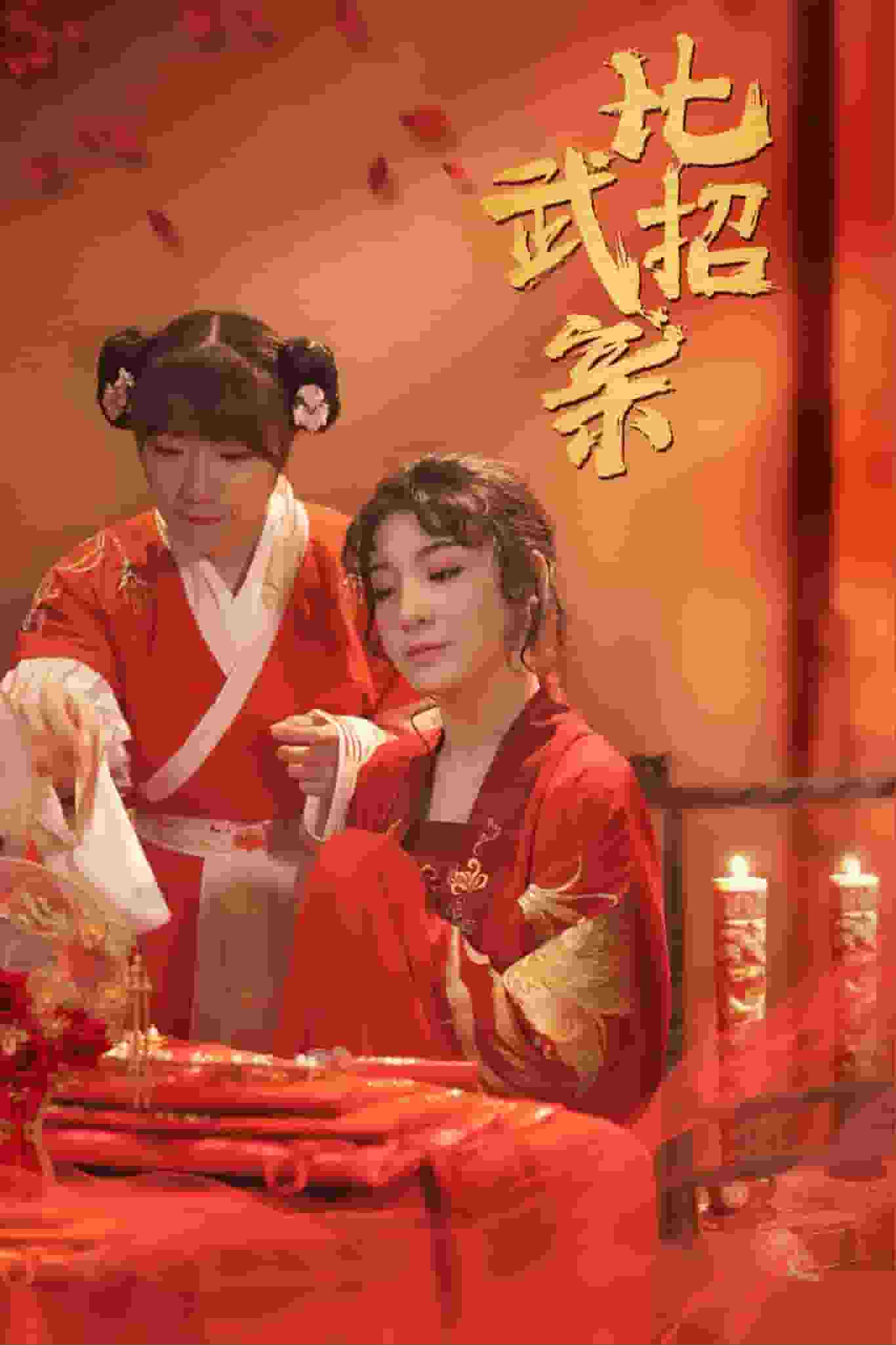 比武招亲 第14集