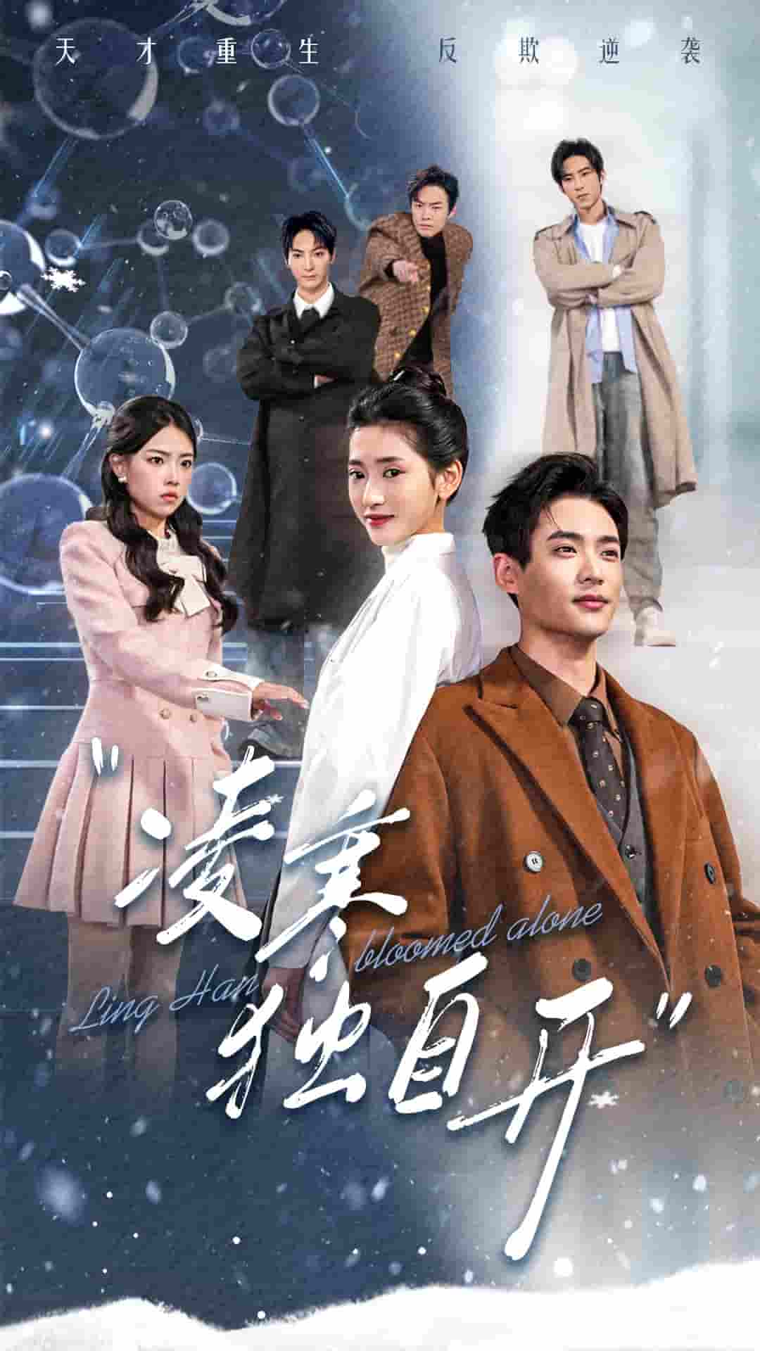 凌寒独自开 第39集