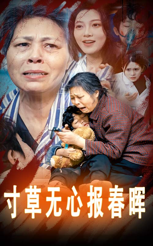 寸草无心报春晖 第21集