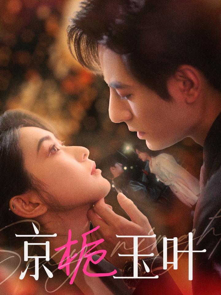 京栀玉叶 第22集
