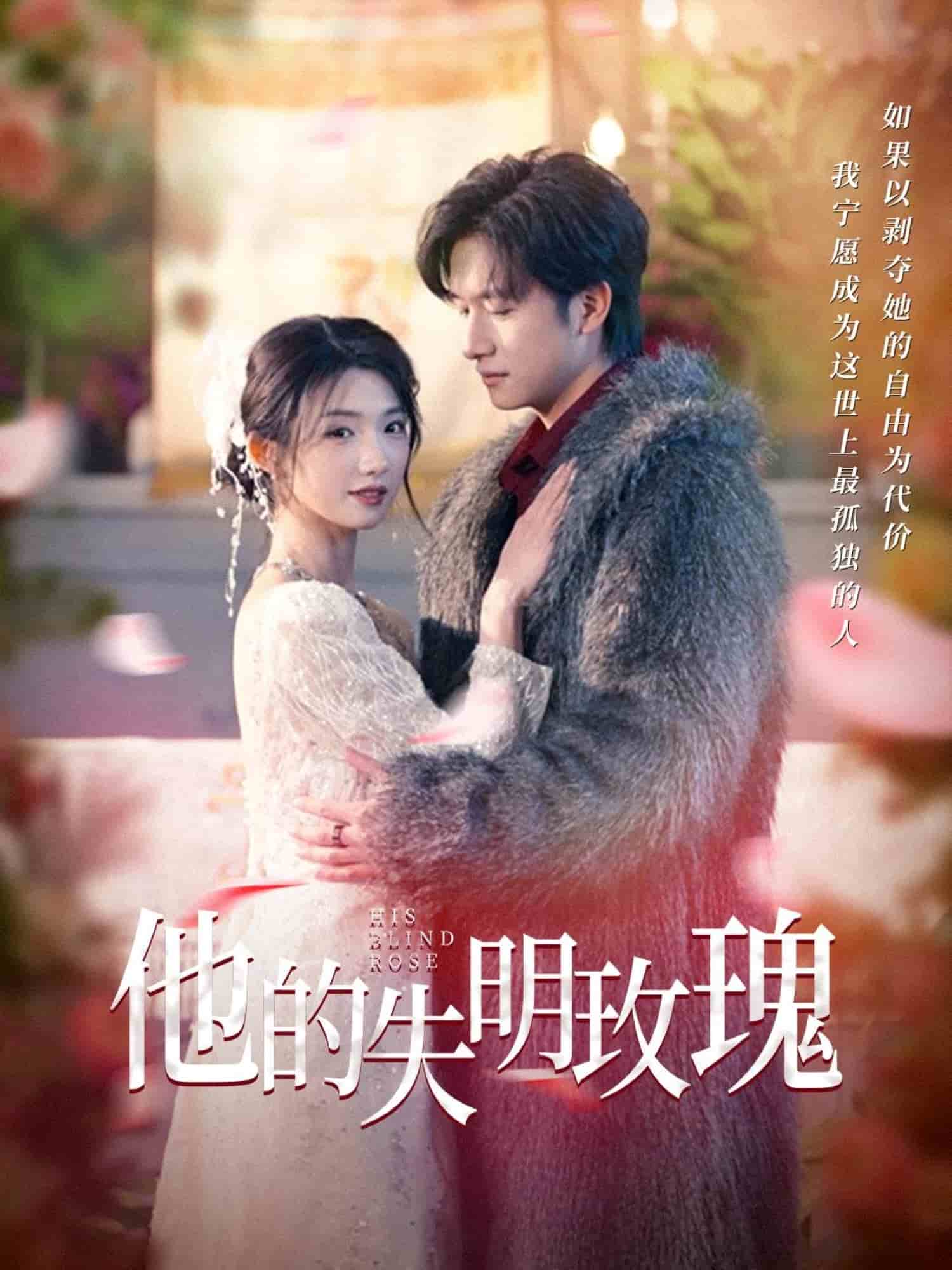 他的失明玫瑰 第9集