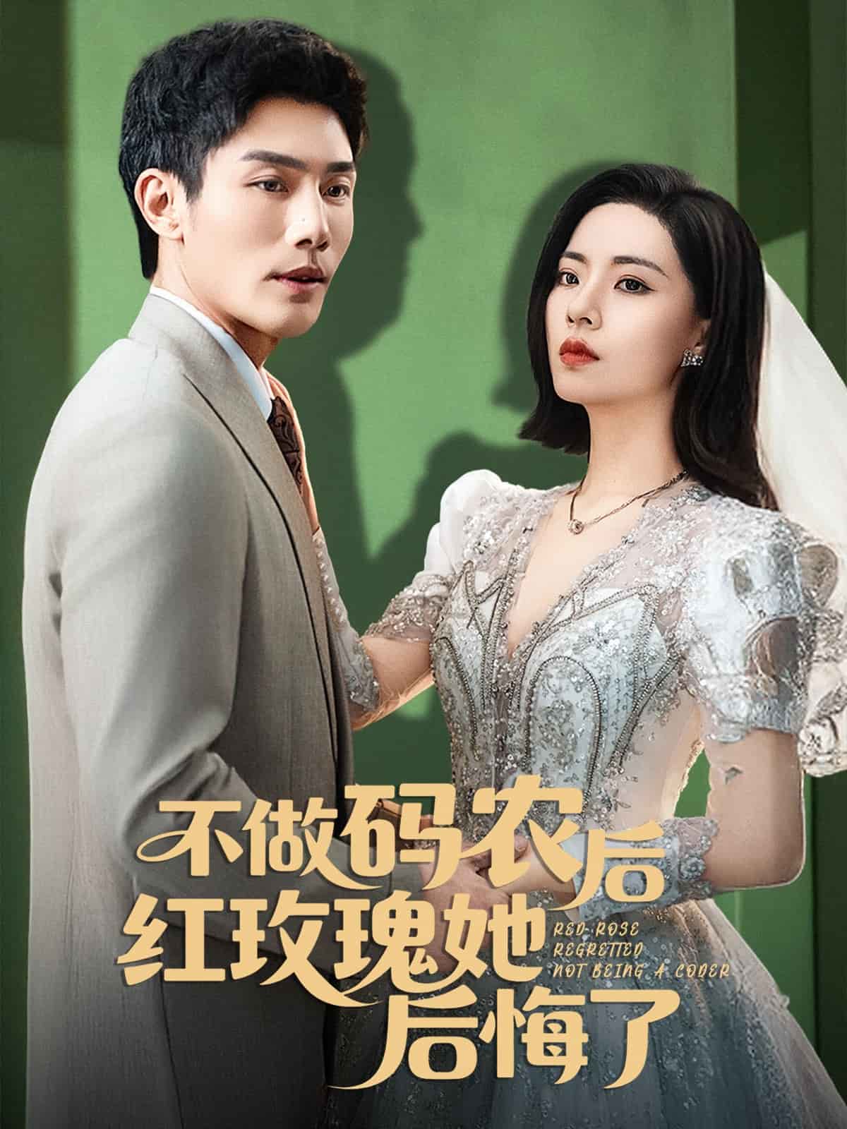 不做码农后红玫瑰她后悔了 第39集