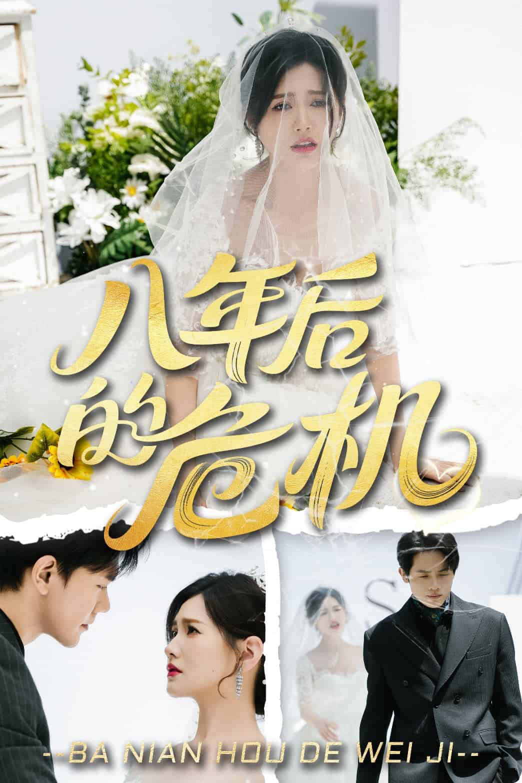 八年后的危机 第29集