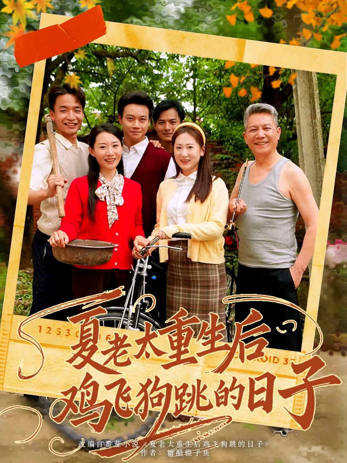 夏老太重生后鸡飞狗跳的日子 第39集