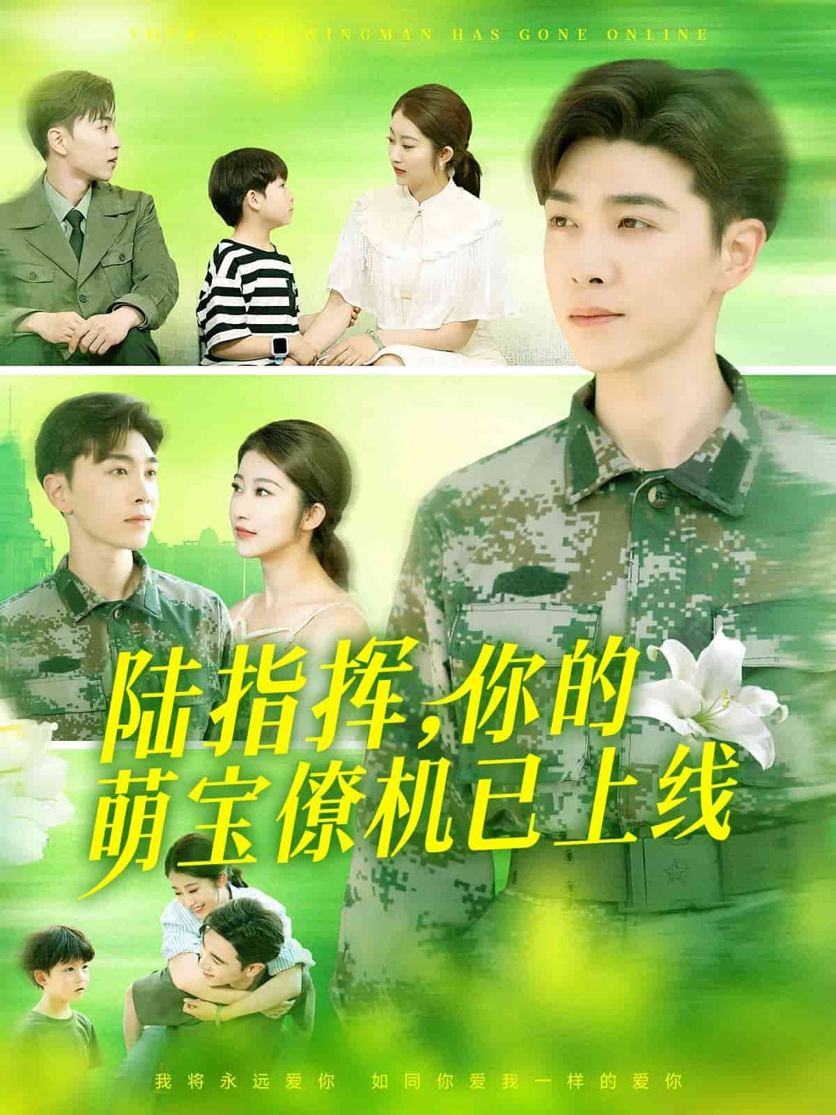 陆总你的萌宝已上线 第076集