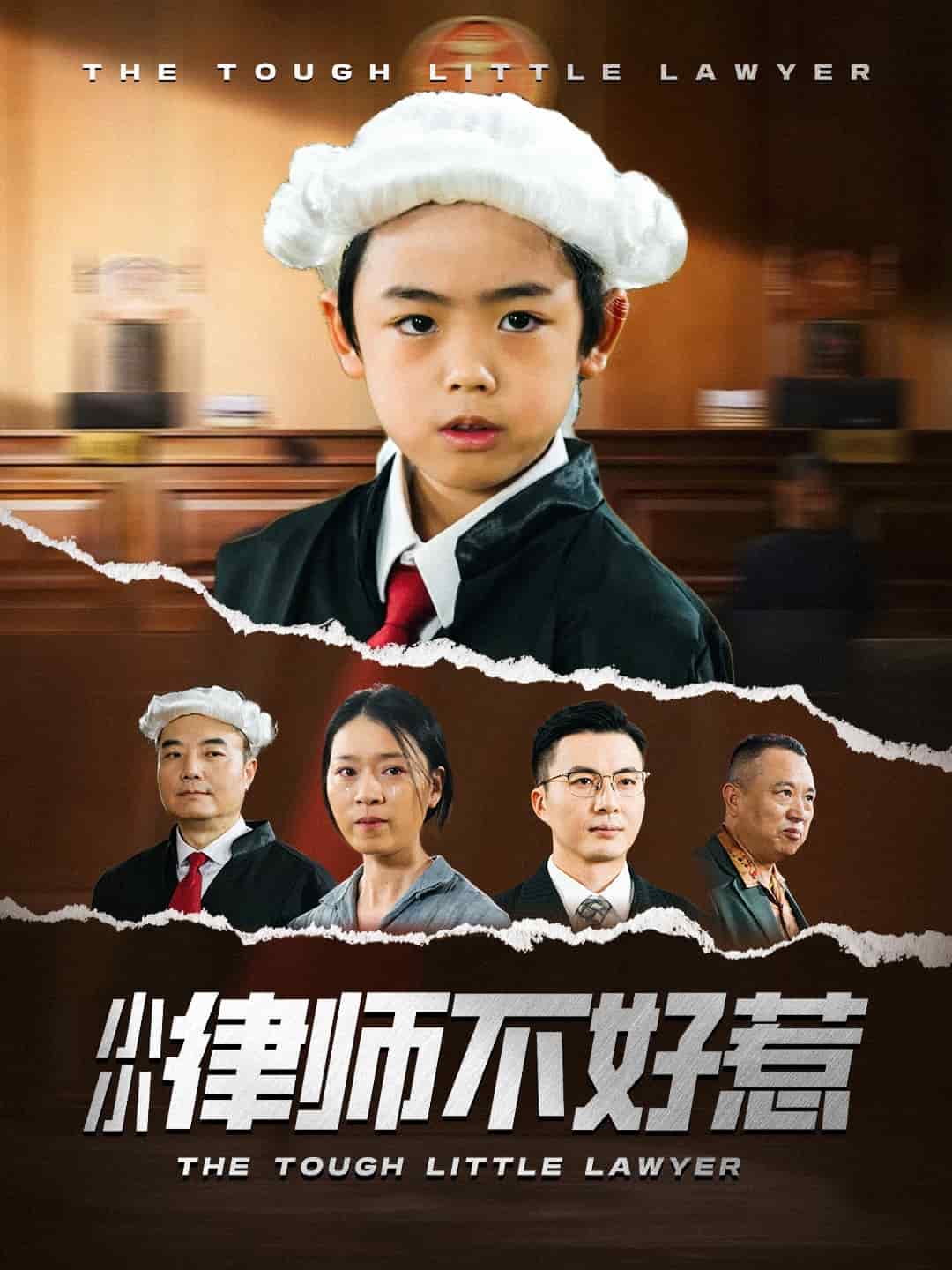 小小律师不好惹 第49集