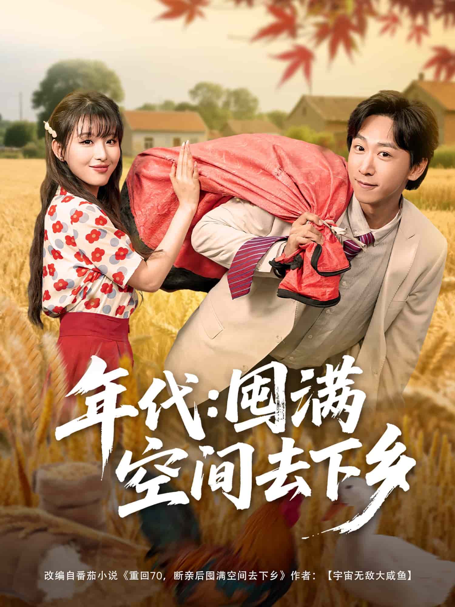 年代囤满空间去下乡 第03集