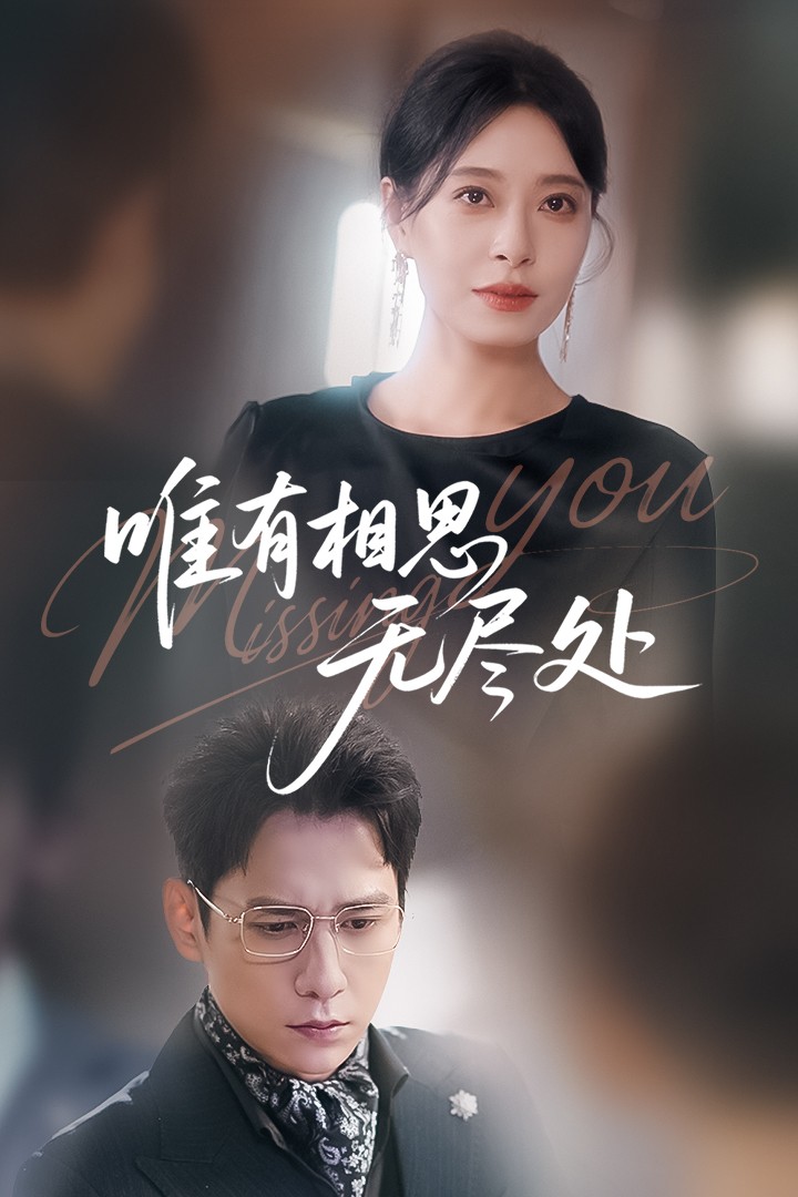 唯有相思无尽处 第41集