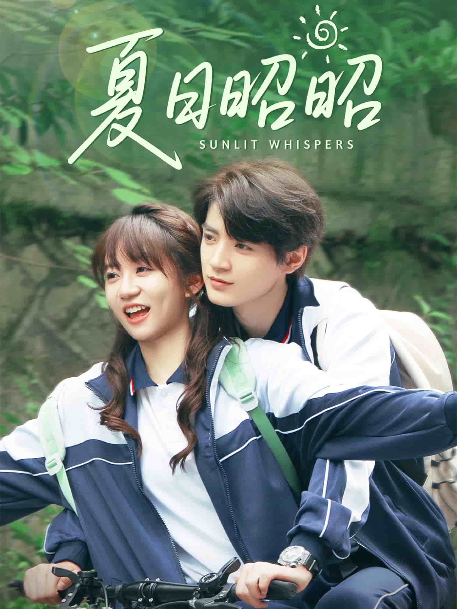 夏日昭昭 第39集
