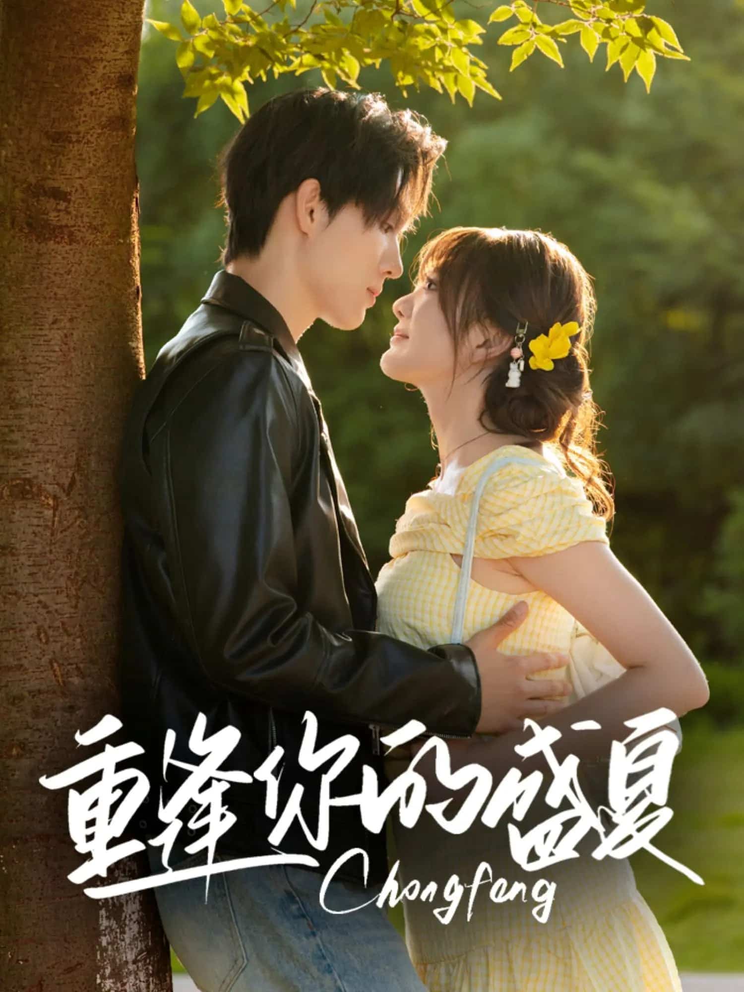 重逢你的盛夏 第39集