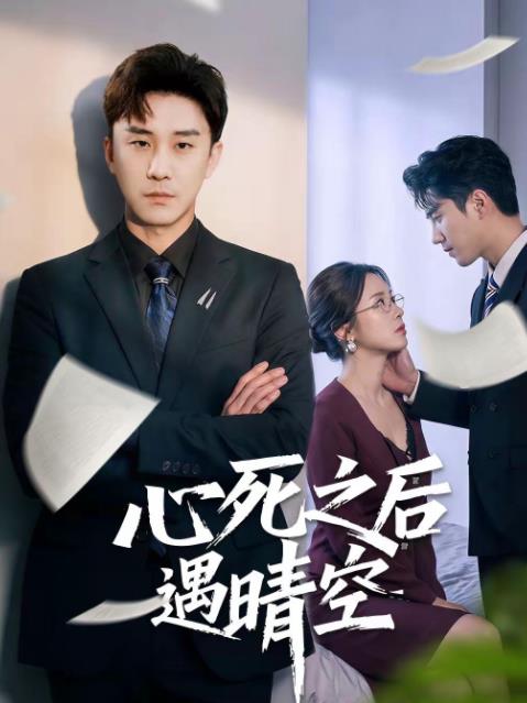 心死之后遇晴空 第27集