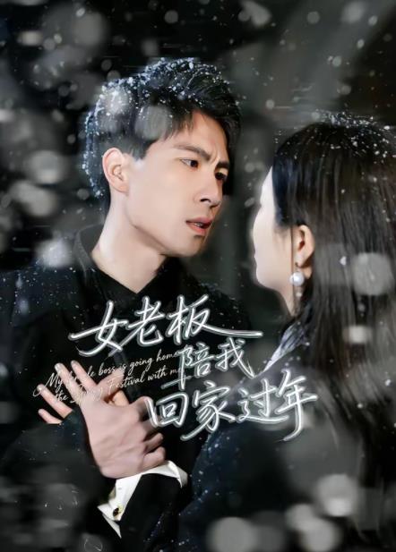 女老板陪我回家过年 第39集