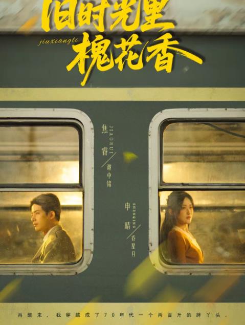 旧时光里槐花香 第39集