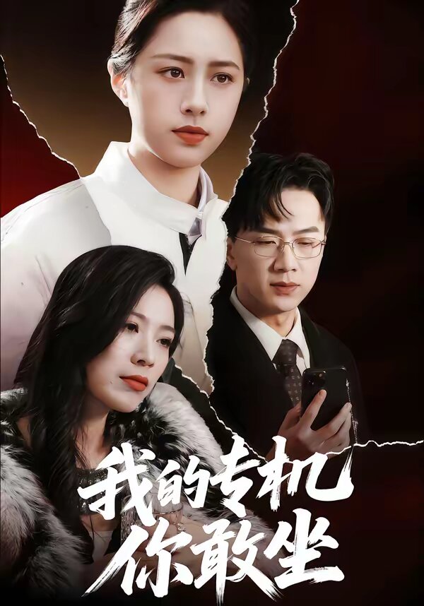 我的专机你敢坐 第39集