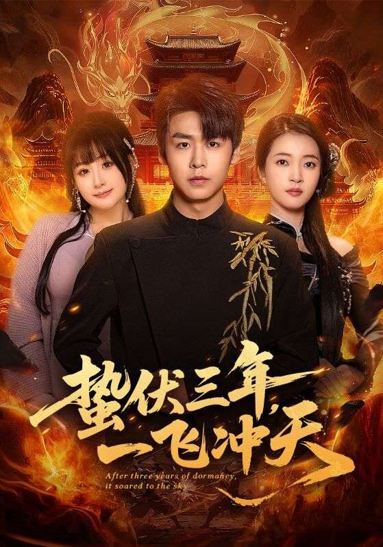 蛰伏三年，一飞冲天 第34集