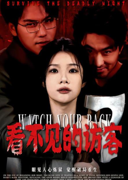 看不见的访客 第52集