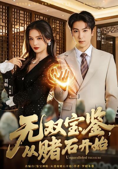 无双宝鉴，从赌石开始 第39集